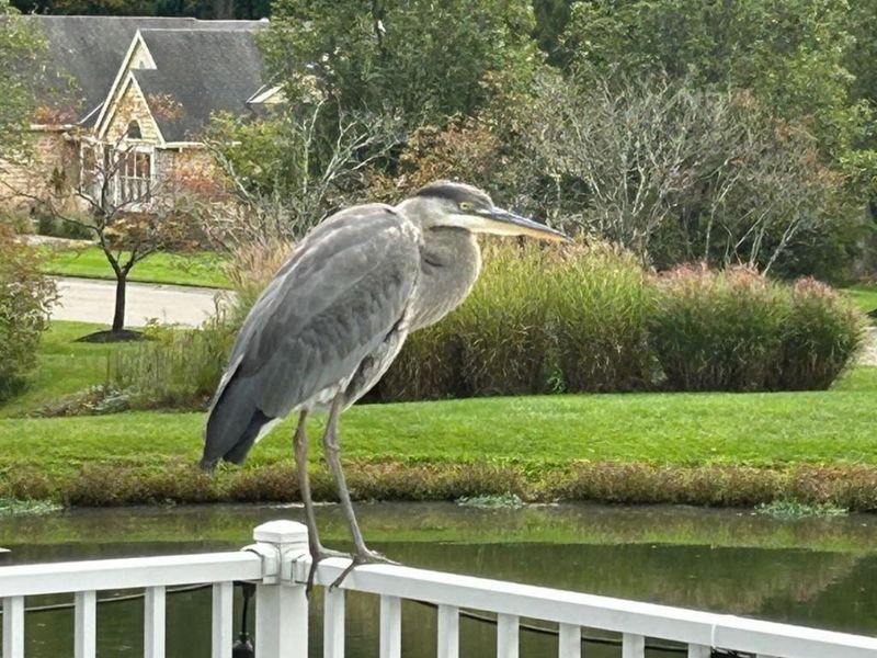 9986 Pond Woods Lane, Sharonville, OH 45241 Photo 79