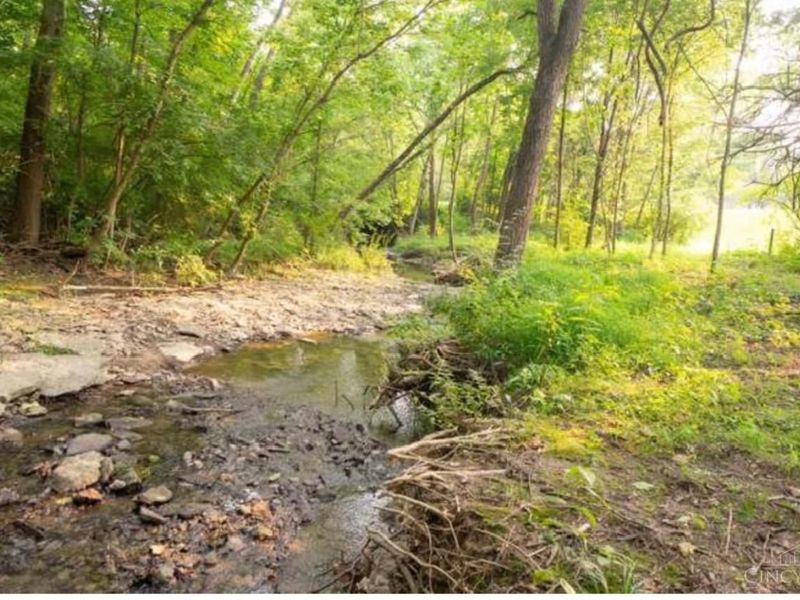 9986 Pond Woods Lane, Sharonville, OH 45241 Photo 81