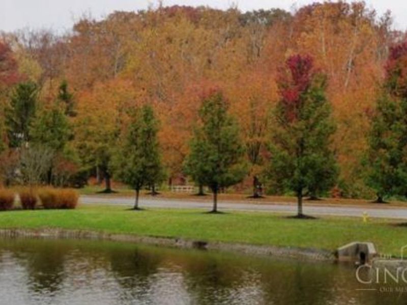 9986 Pond Woods Lane, Sharonville, OH 45241 Photo 82