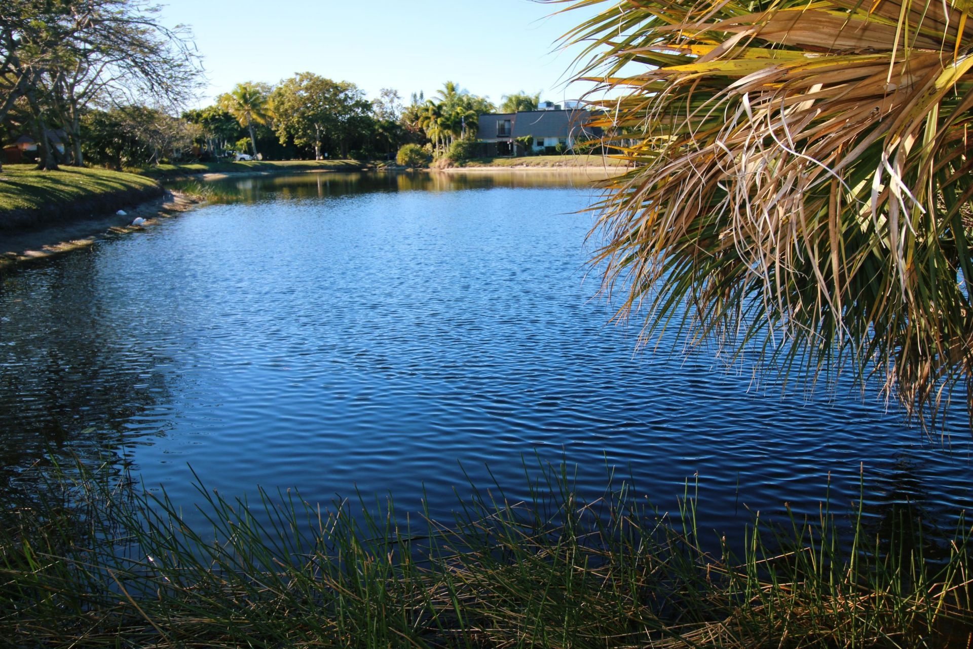 326 Jupiter Lakes Boulevard, Unit 2304 C, Jupiter, FL 33458 Photo