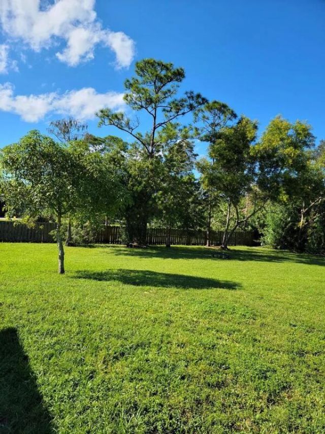 17461 W Alan Black Boulevard, Loxahatchee, FL 33470 Photo