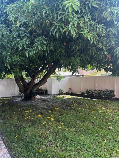 4208 Temple Street, West Palm Beach, FL 33407 Photo