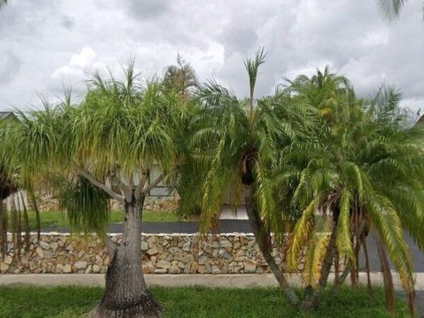 2410 NW 102nd Way, Pembroke Pines, FL 33026