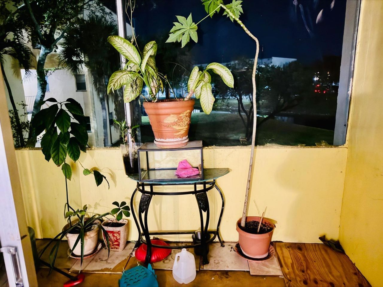 8460 Sunrise Lakes Boulevard, Unit 202, Sunrise, FL 33322 Photo