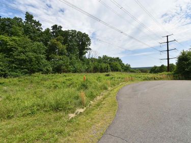 14315 WILLIS CT, Orange, VA 22960