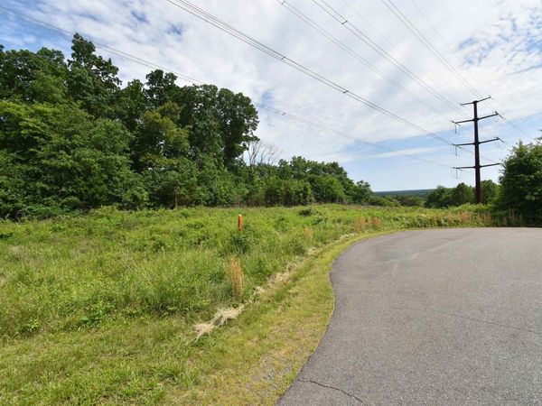 14315 WILLIS CT, Orange, VA 22960