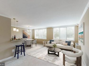 6641 WAKEFIELD DRIVE, Unit 219, ALEXANDRIA, VA 22307