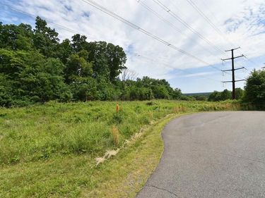 14315 WILLIS CT, Unit 15, ORANGE, VA 22960