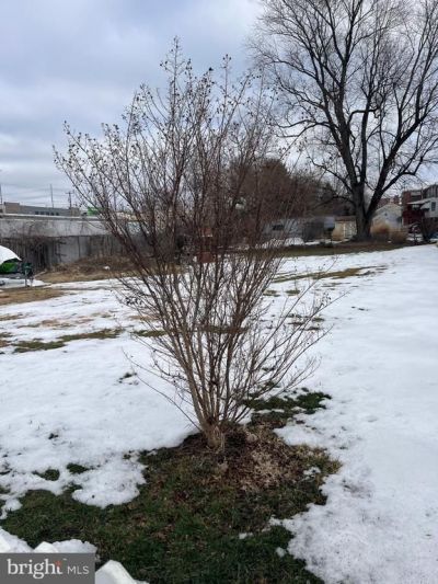 Lot 2 And Lot 3 Eddystone Avenue, Eddystone, PA 19022 Main Photo