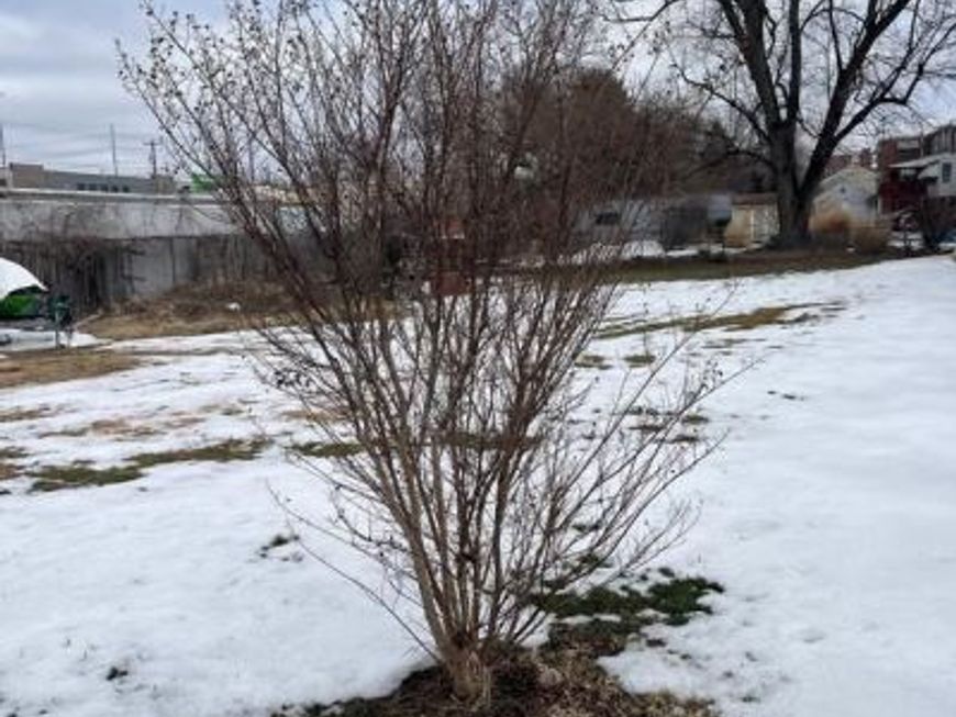 Lot 2 And Lot 3 Eddystone Avenue, Eddystone, PA 19022 Main Photo