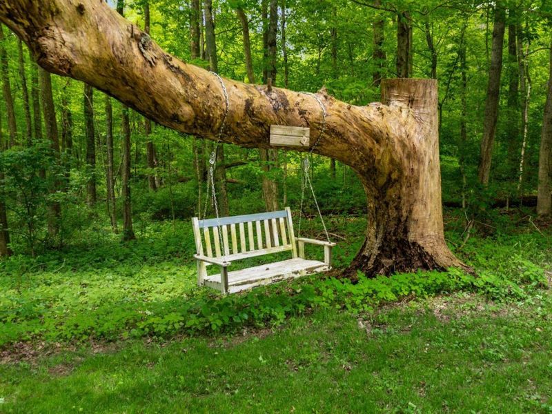 8263 Bennington Chapel Road, Centerburg, OH 43011 Photo 15