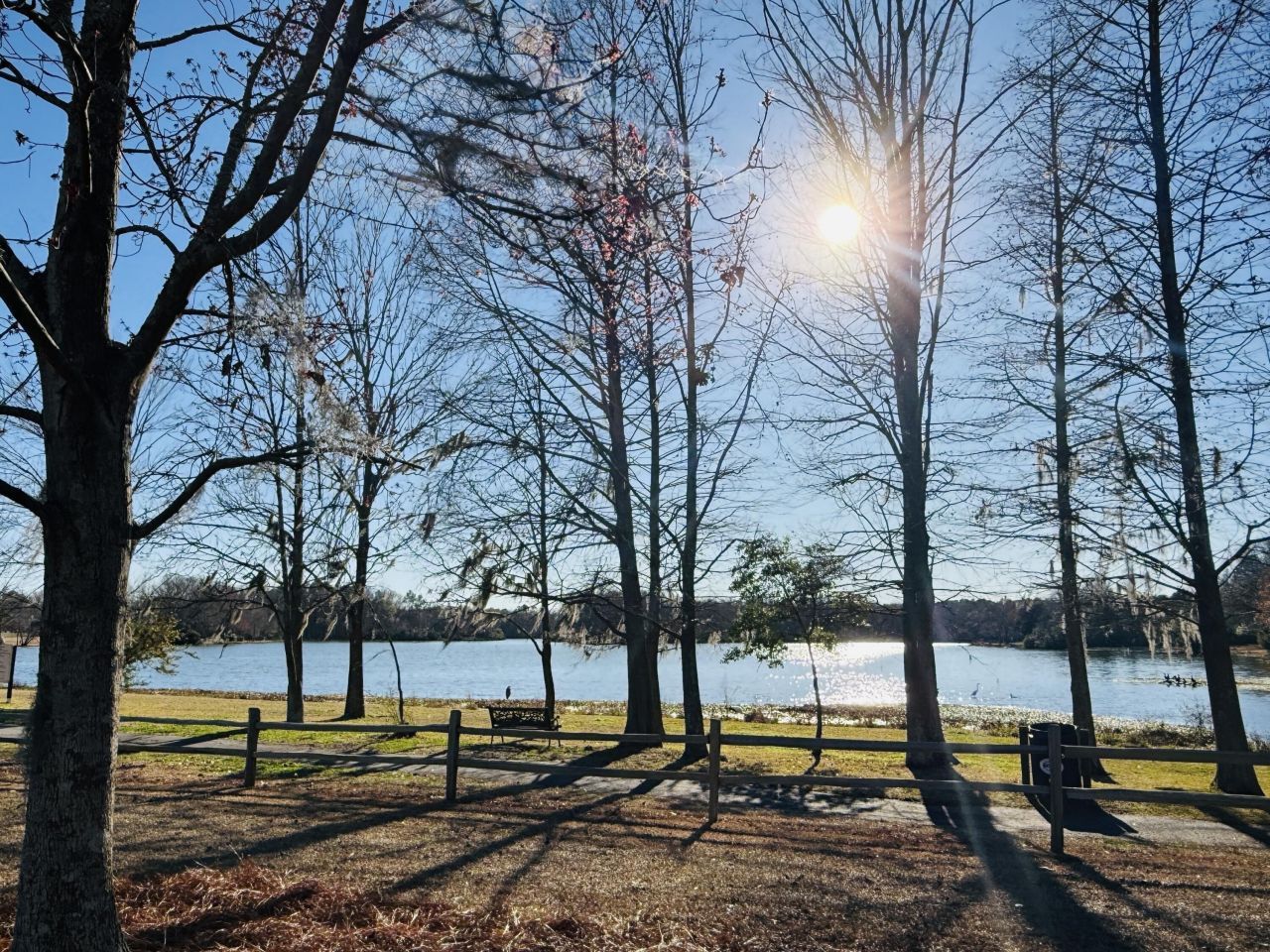 110 Bristol Lane Photo 48