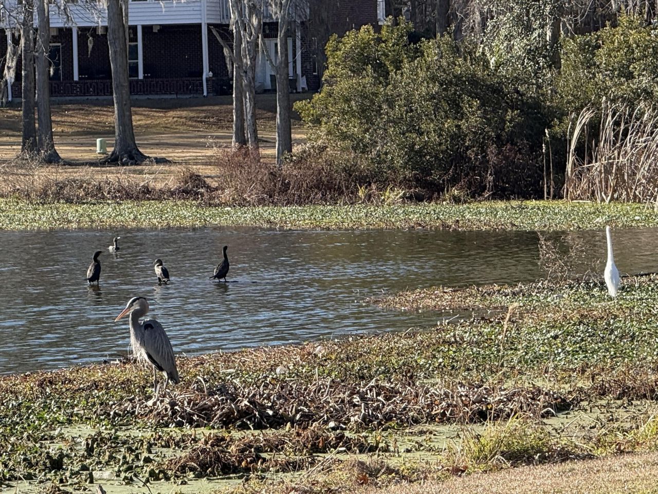 110 Bristol Lane Photo 49