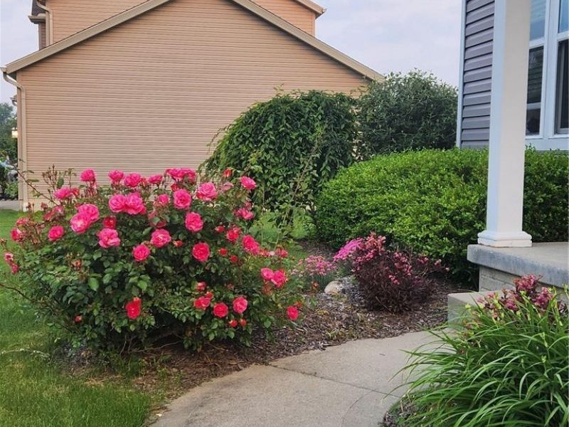 2671 Wintergreen Lane, Ravenna, OH 44266 Photo 21