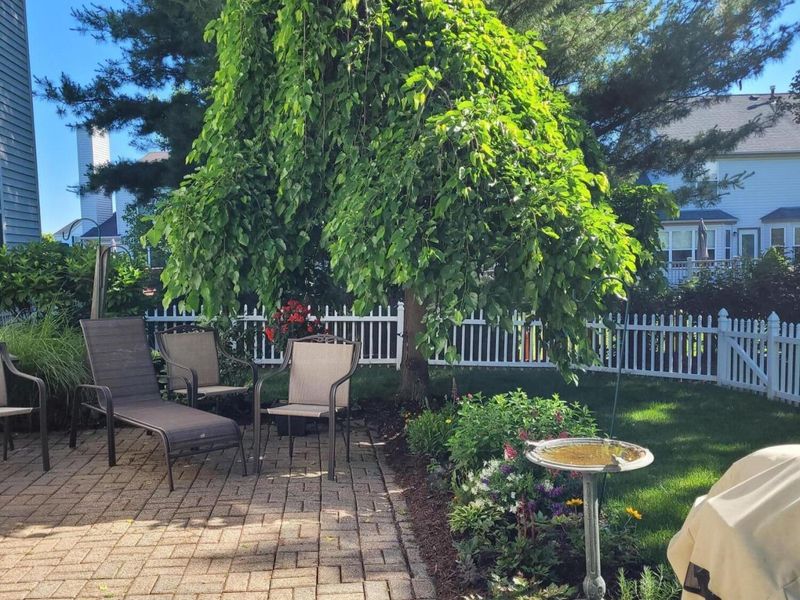 6703 Sorensen Place, Westerville, OH 43082 Photo 25