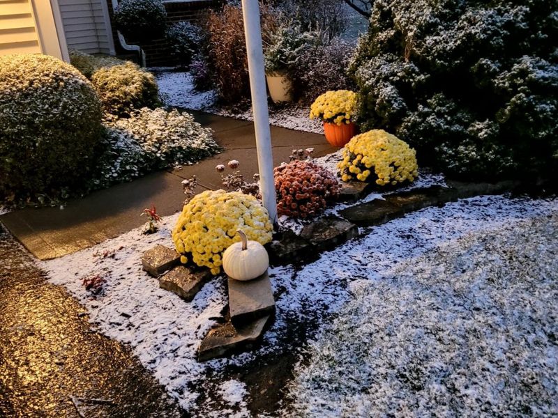 6703 Sorensen Place, Westerville, OH 43082 Photo 30