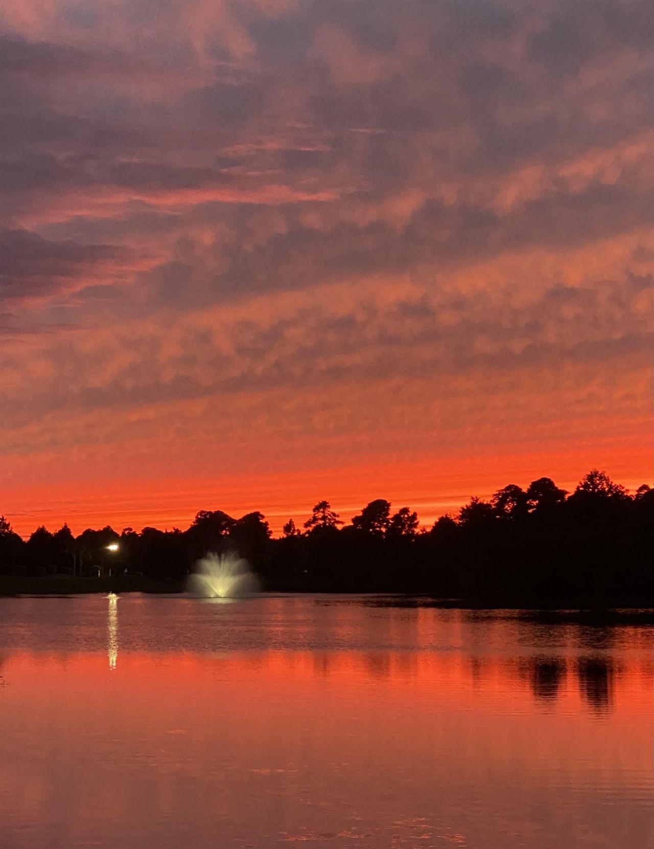 721 Jade Dr. Photo 39