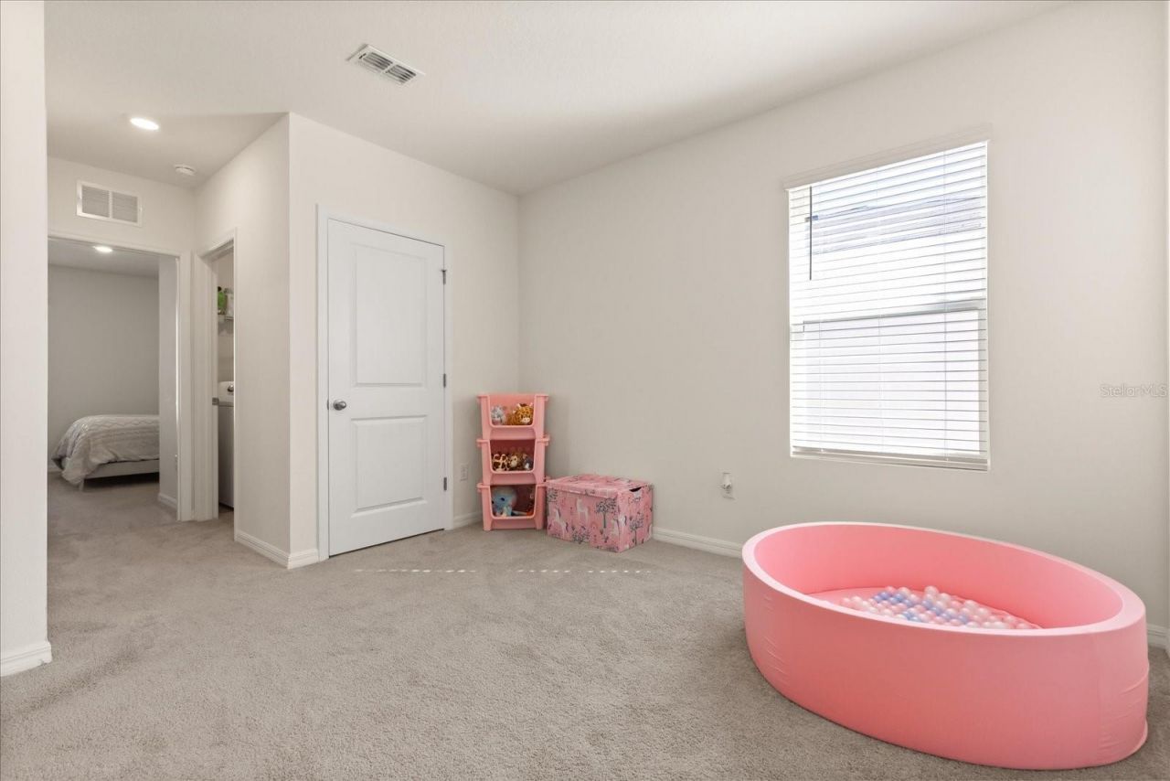 5640 Wandering Willow Drive, Wesley Chapel, FL 33545 Photo
