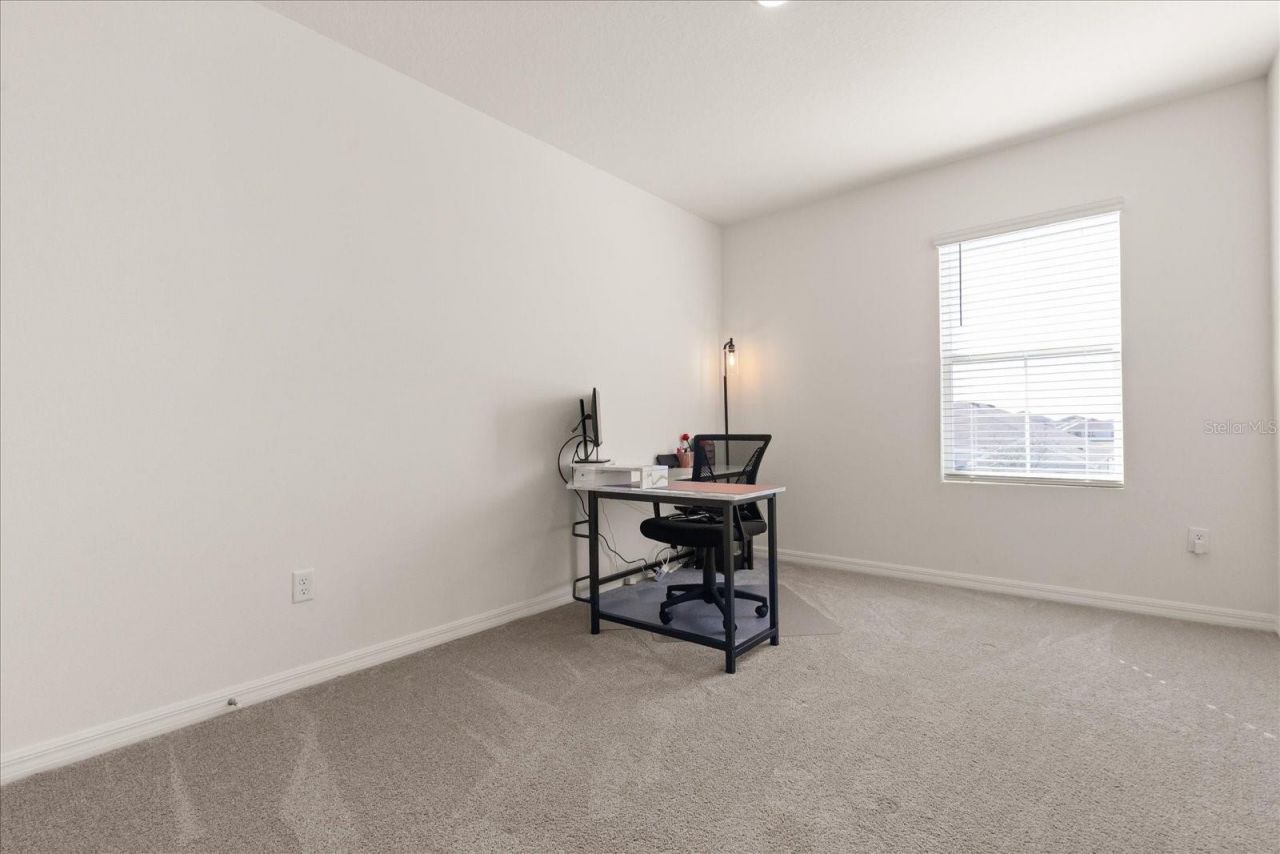 5640 Wandering Willow Drive, Wesley Chapel, FL 33545 Photo