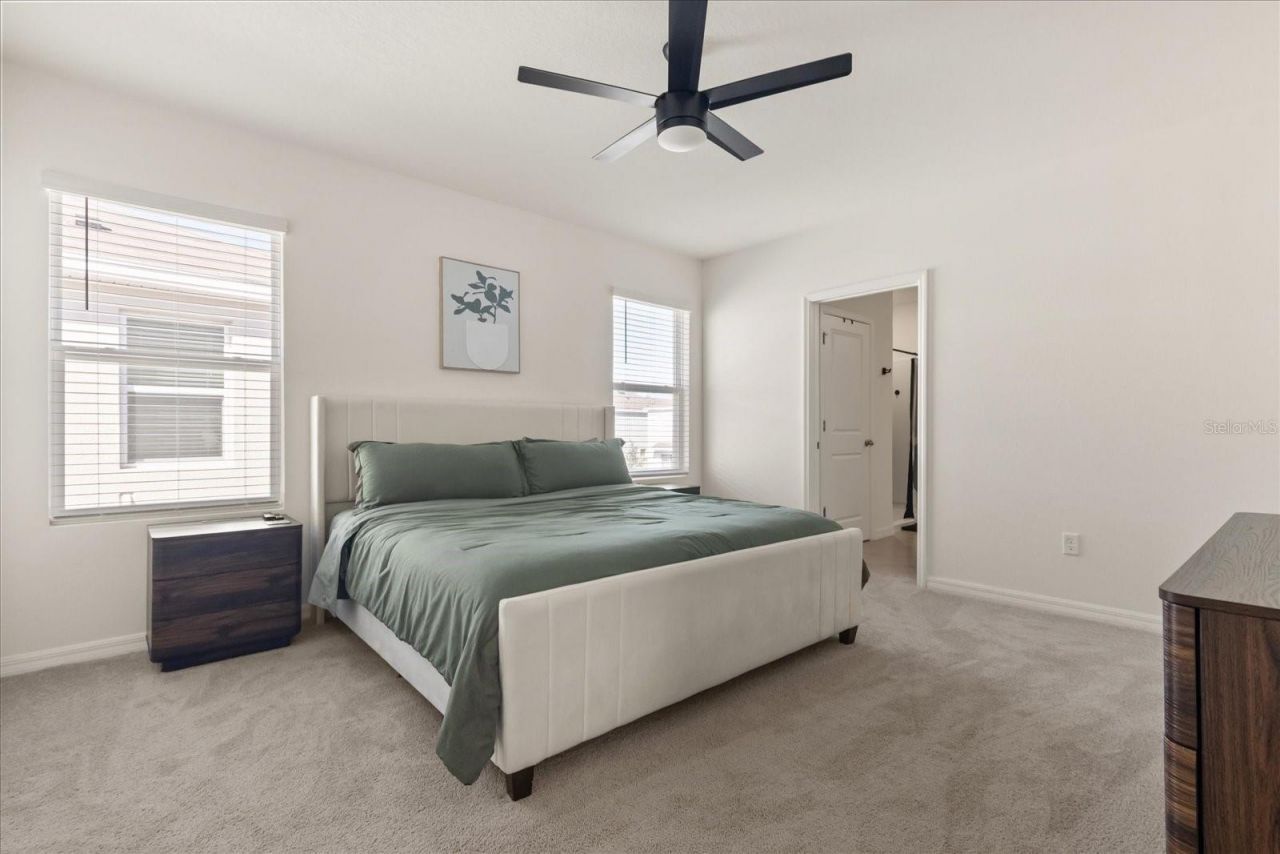 5640 Wandering Willow Drive, Wesley Chapel, FL 33545 Photo