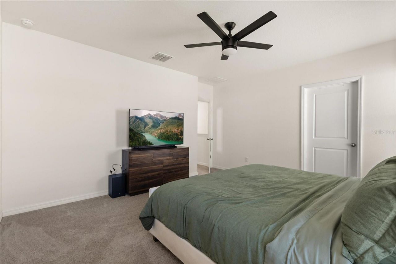 5640 Wandering Willow Drive, Wesley Chapel, FL 33545 Photo