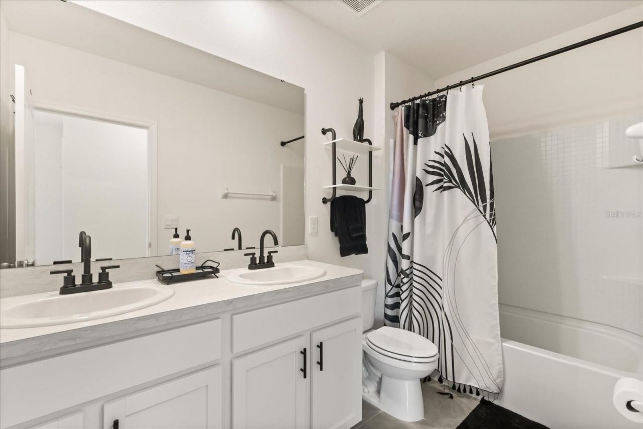 5640 Wandering Willow Drive, Wesley Chapel, FL 33545 Photo