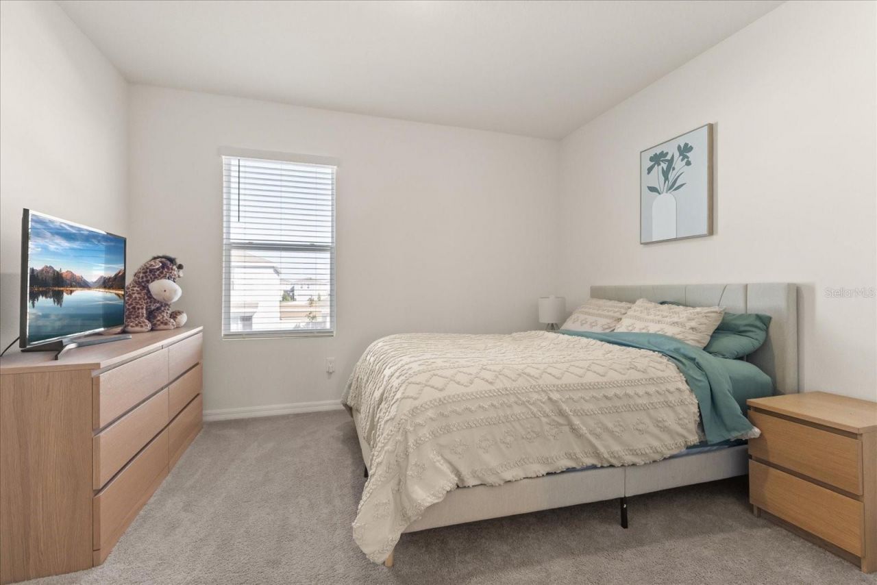 5640 Wandering Willow Drive, Wesley Chapel, FL 33545 Photo