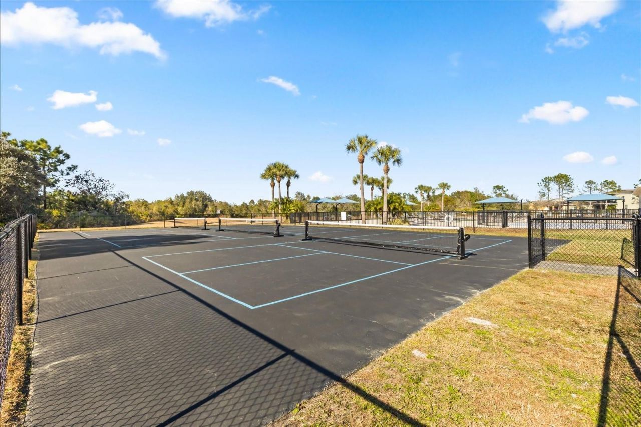 5640 Wandering Willow Drive, Wesley Chapel, FL 33545 Photo