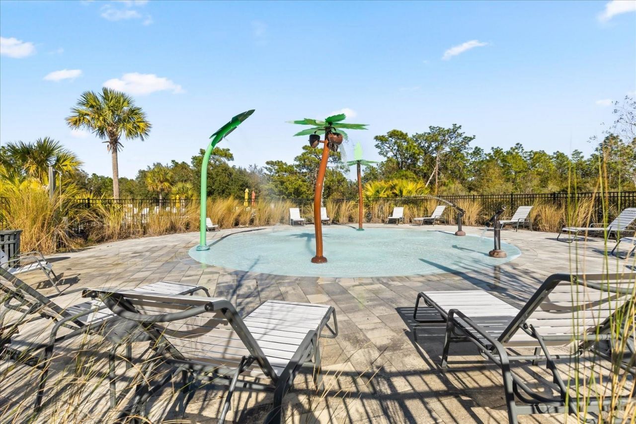 5640 Wandering Willow Drive, Wesley Chapel, FL 33545 Photo