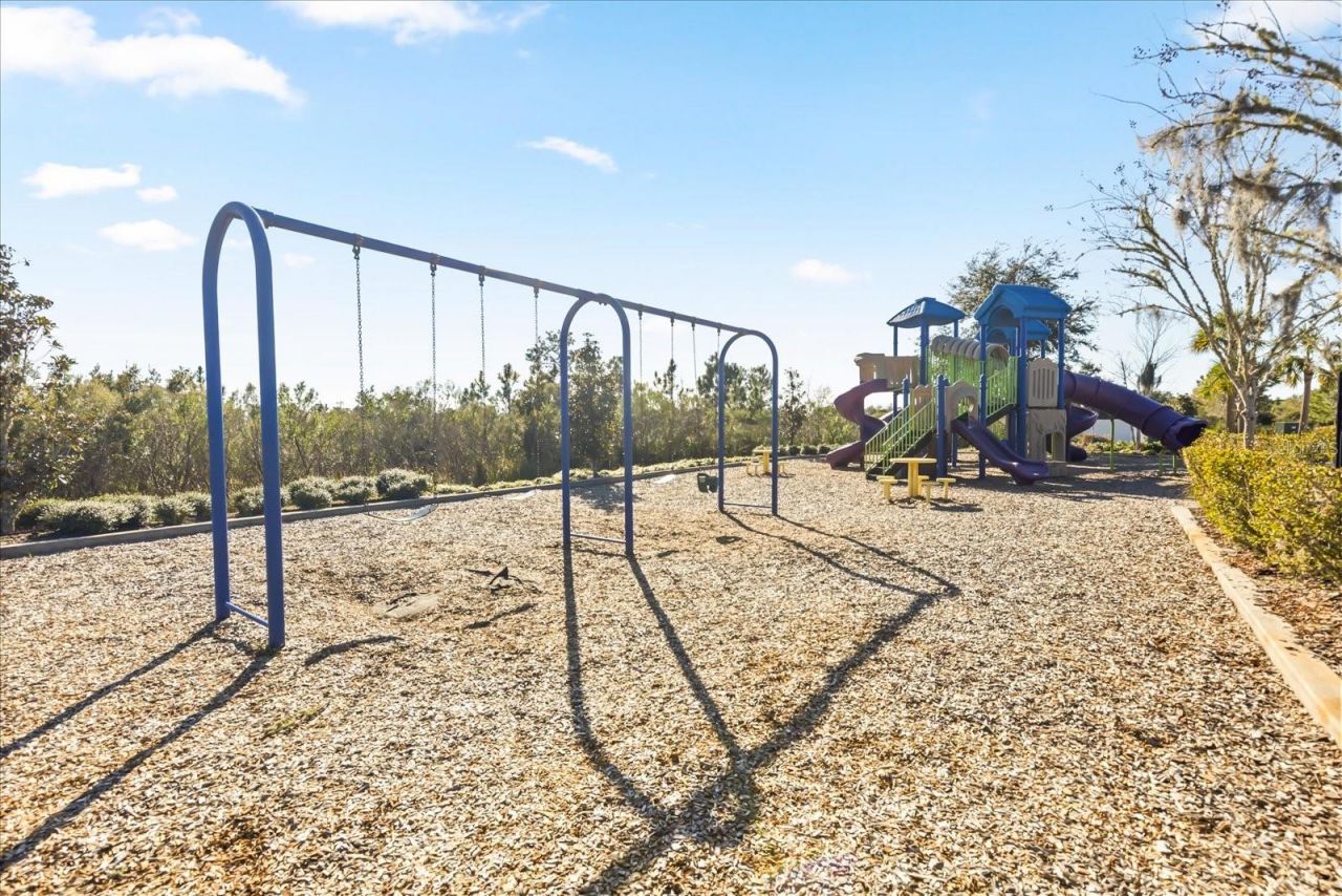 5640 Wandering Willow Drive, Wesley Chapel, FL 33545 Photo