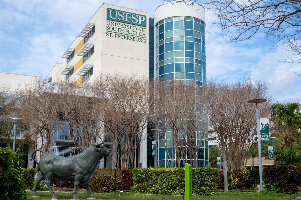 316 8th Street S, Unit 104, Saint Petersburg, FL 33701 Photo