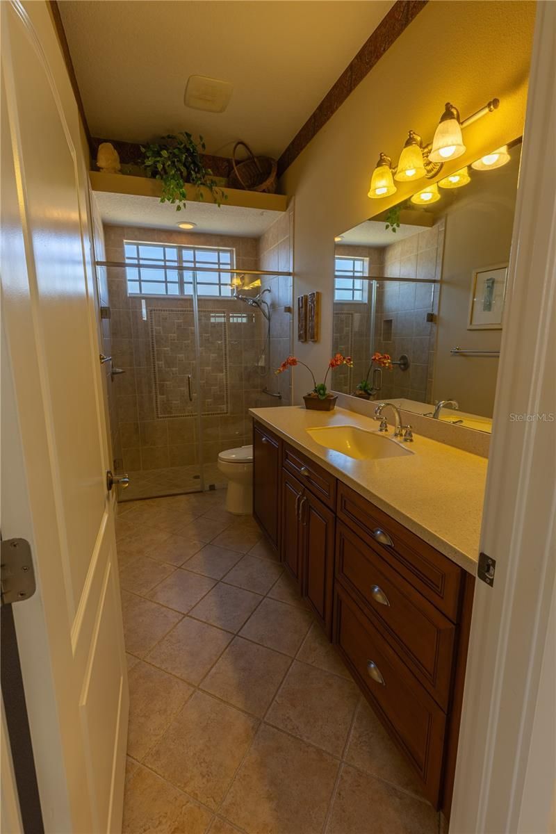 13717 Canterfield Drive, Riverview, FL 33579 Photo