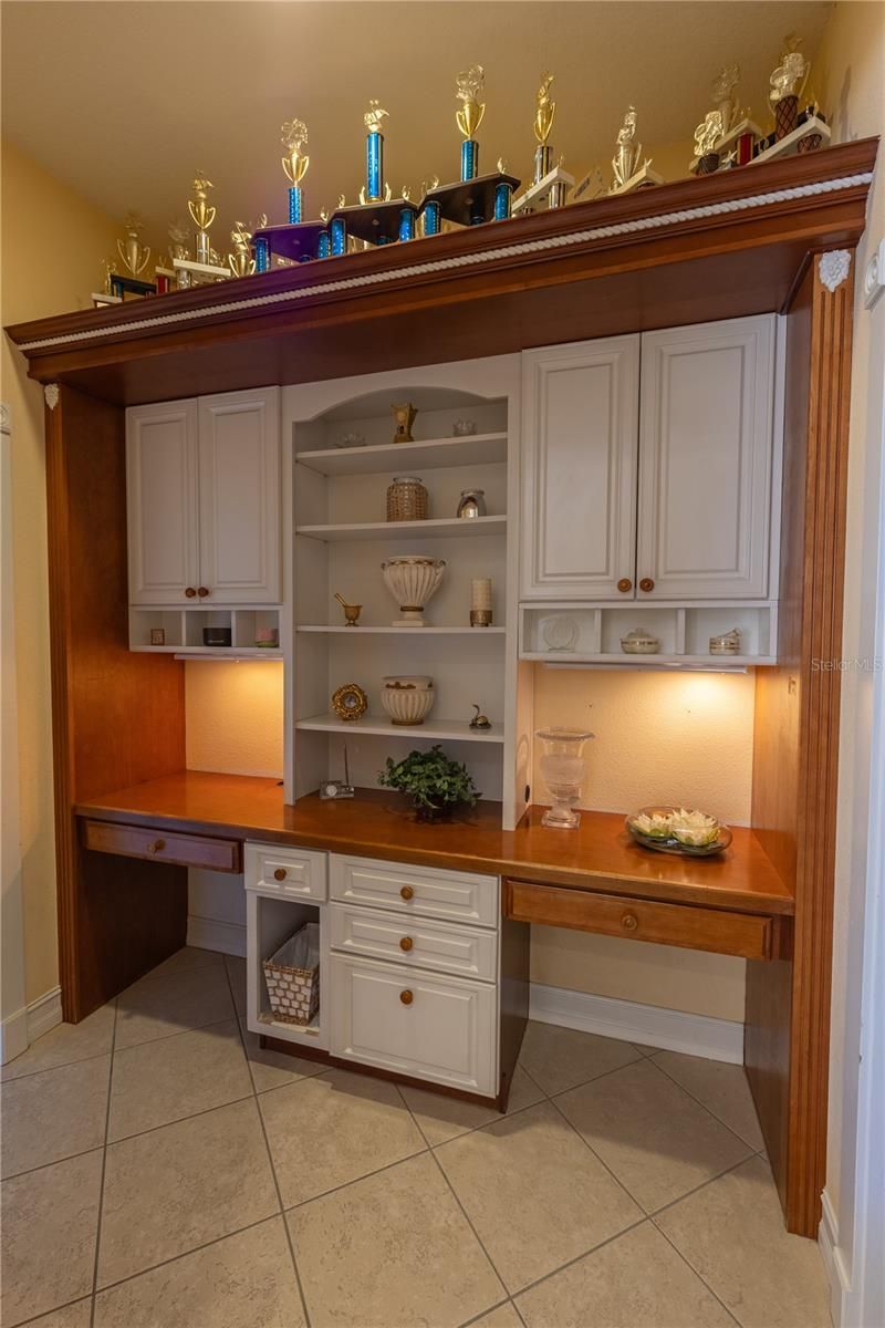 13717 Canterfield Drive, Riverview, FL 33579 Photo