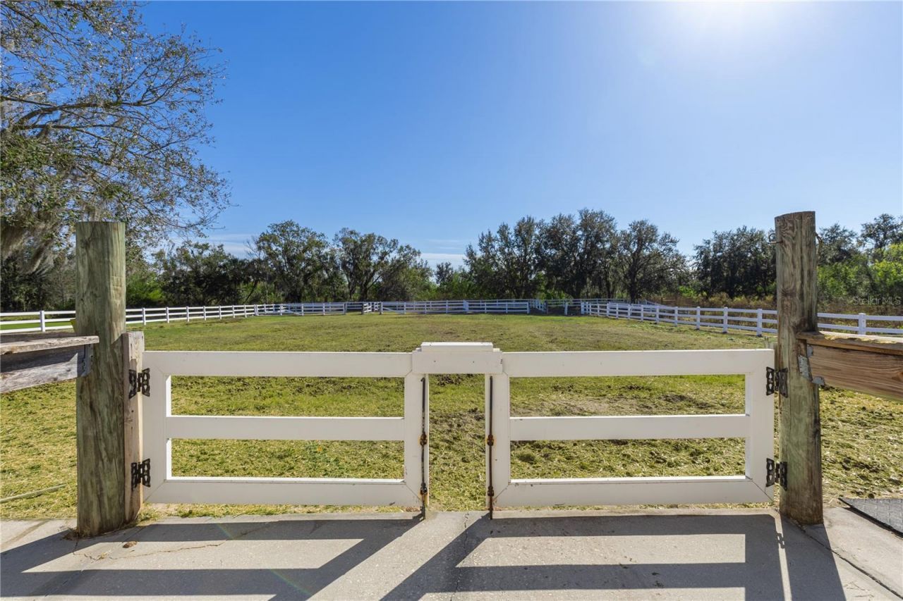 13717 Canterfield Drive, Riverview, FL 33579 Photo