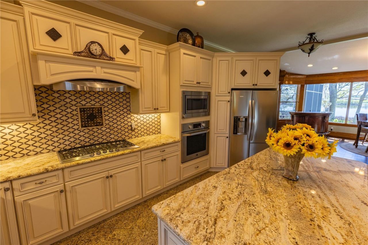 8910 Eagle Watch Drive, Riverview, FL 33578 Photo