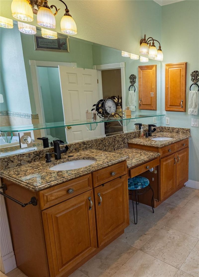 8910 Eagle Watch Drive, Riverview, FL 33578 Photo