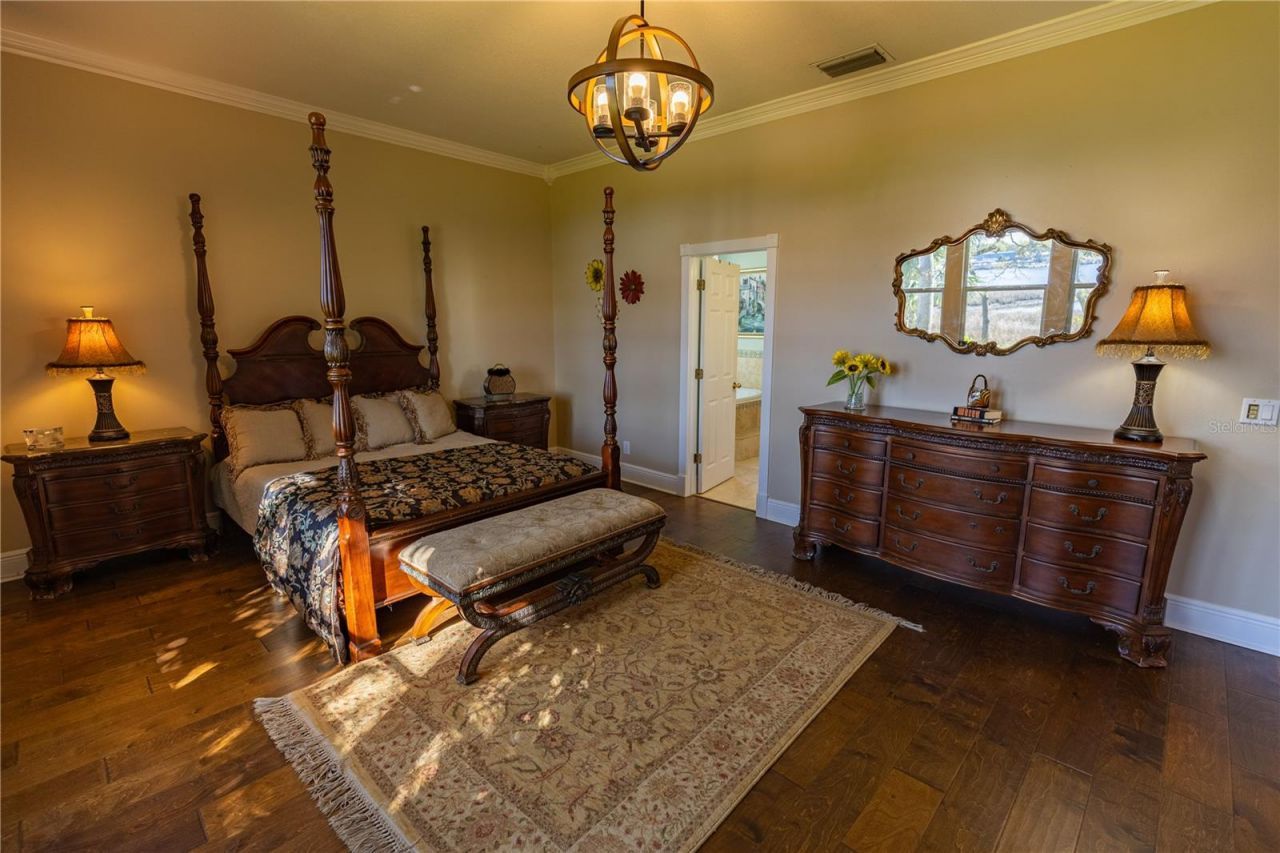 8910 Eagle Watch Drive, Riverview, FL 33578 Photo