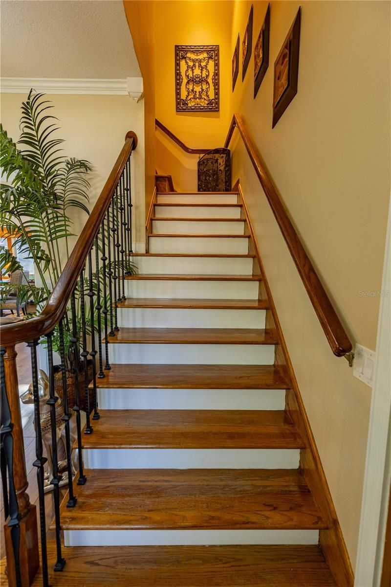 8910 Eagle Watch Drive, Riverview, FL 33578 Photo