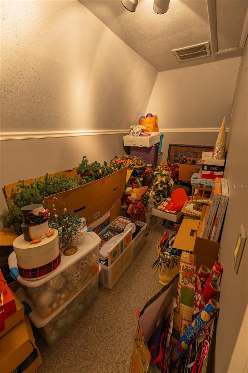 8910 Eagle Watch Drive, Riverview, FL 33578 Photo