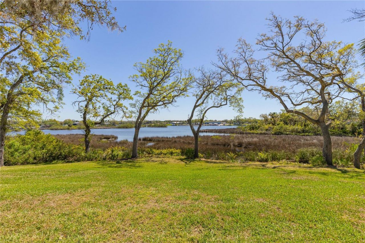 8910 Eagle Watch Drive, Riverview, FL 33578 Photo