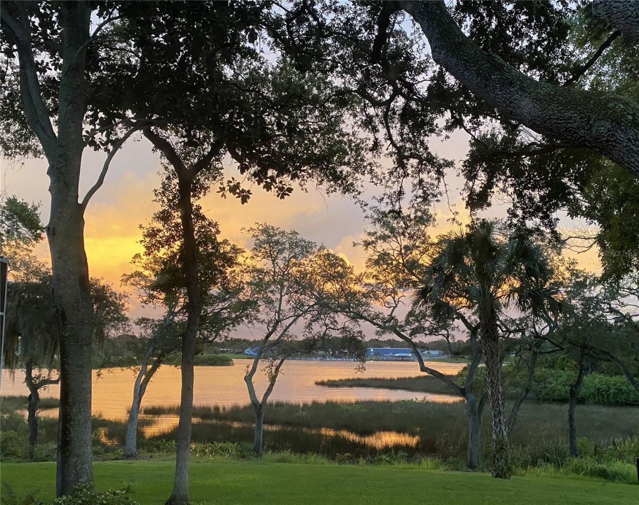 8910 Eagle Watch Drive, Riverview, FL 33578 Photo