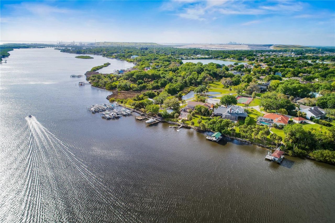 8910 Eagle Watch Drive, Riverview, FL 33578 Photo