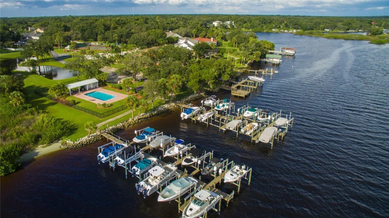 8910 Eagle Watch Drive, Riverview, FL 33578 Photo