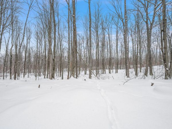 5516 E 68th Street, Chase, MI 49623