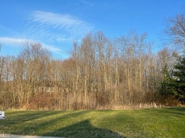 Birchmont Avenue SW, Canton, OH 44706