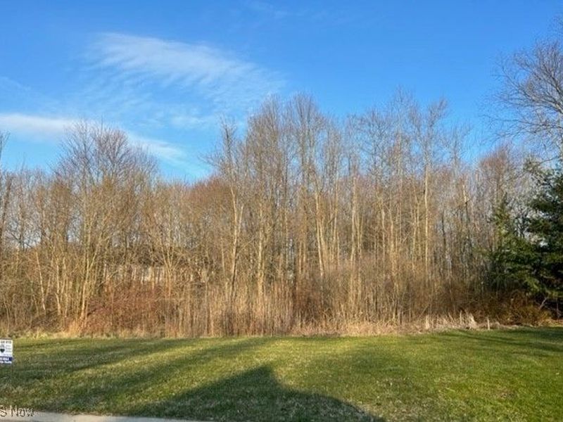 Birchmont Avenue SW, Canton, OH 44706 Photo 1