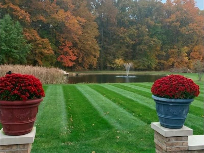 658 Center Street W, Warren, OH 44481 Photo 50