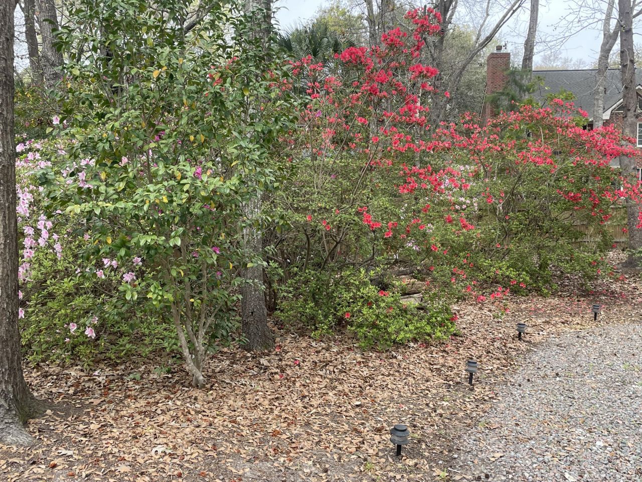 2044 Hallahan Court Photo 37