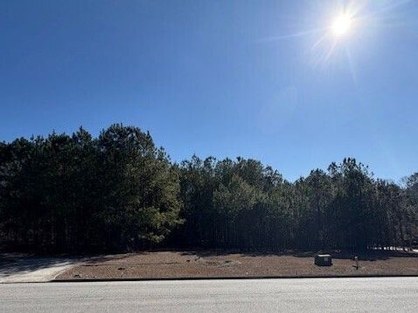 4357 Blue Ridge Drive, Douglasville, GA 30135