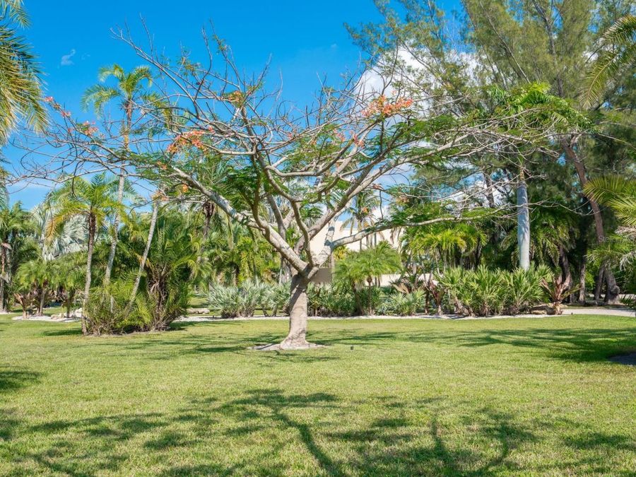 Property Image 67